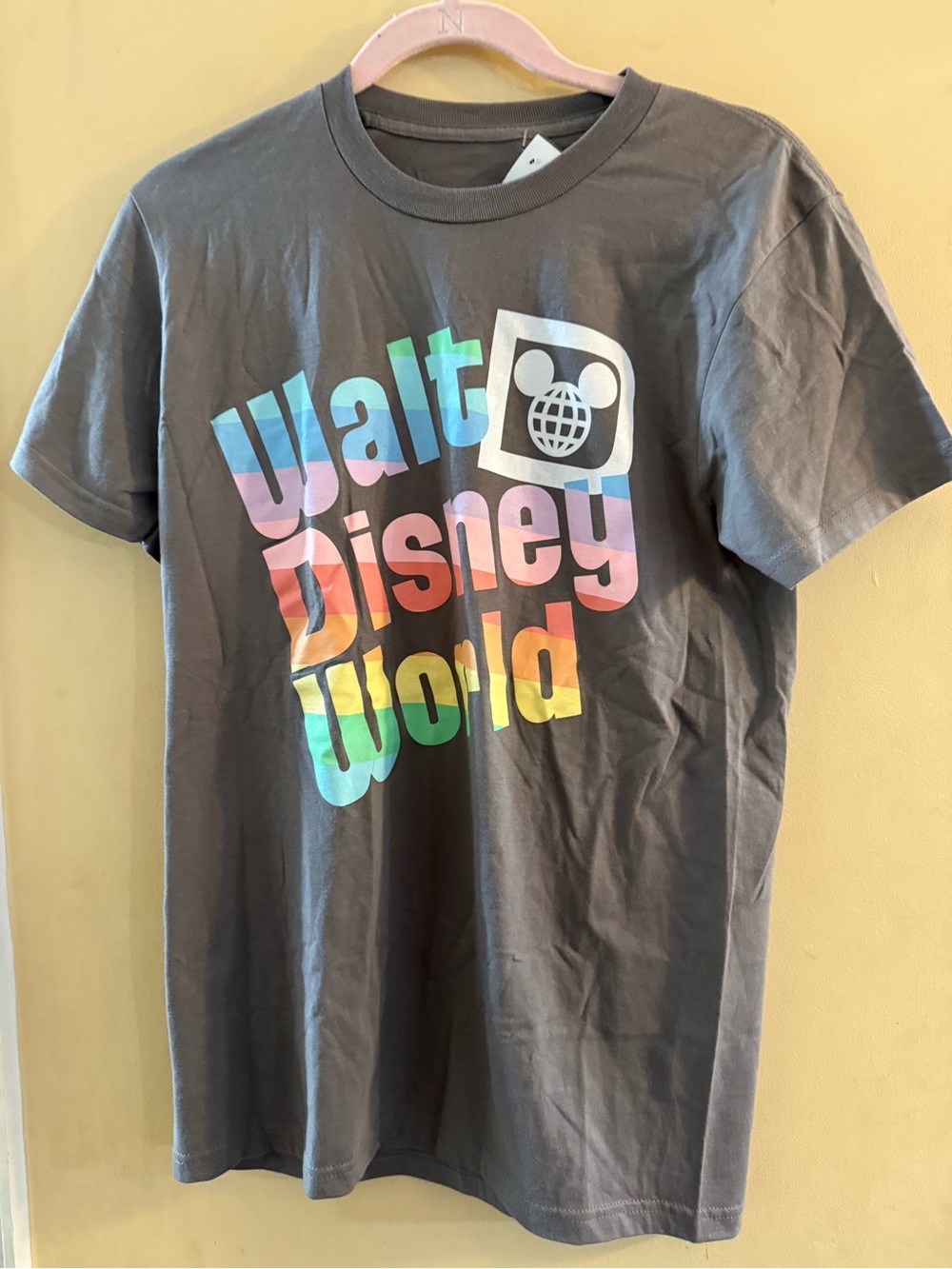 NWT Disney Gray Tee with Rainbow Walt Disney World Logo, small
